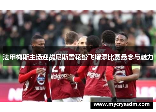 法甲梅斯主场迎战尼斯雪花纷飞增添比赛悬念与魅力